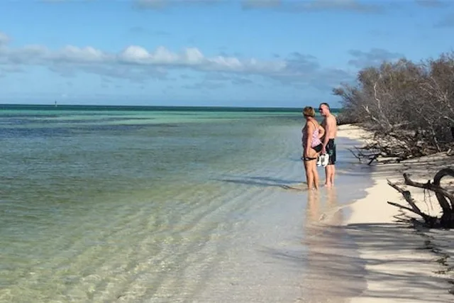 Key West Snorkel, Sandbar & Dolphin Excursion - Image 2