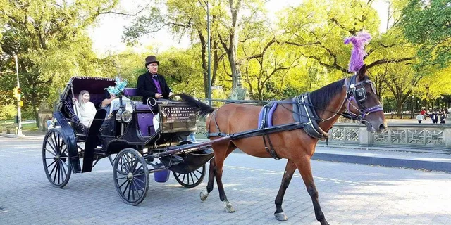 New York Central Park Horse Carriage Ride - Image 2