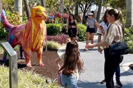 Miami Walking Tour of Hidden Gems thumbnail 3