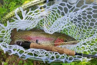 Anchorage Fly-Fishing Tour with Hotel Pickup 8 hr thumbnail 4