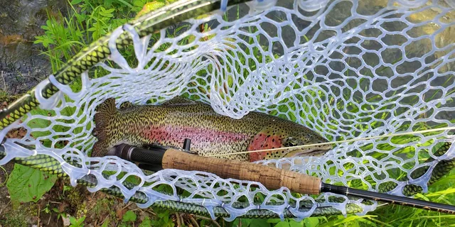 Anchorage Fly-Fishing Tour with Hotel Pickup 8 hr - Image 4