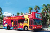 Miami Sightseeing Pass for 35+ Attractions thumbnail 5