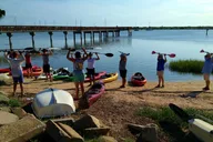 St. Augustine Dolphin Kayak Tour thumbnail 5