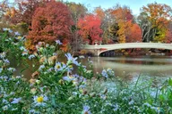 New York Central Park Walking Tour thumbnail 2