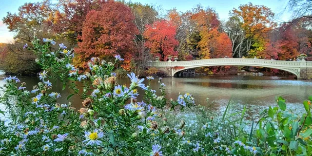 New York Central Park Walking Tour - Image 2