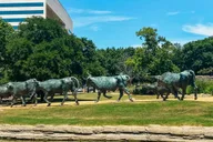 Dallas Southfork Ranch Combo Tour thumbnail 3