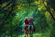 Waco Horseback Ride at Sunset thumbnail 2