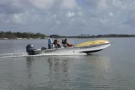 Everglades Boating, Kayaking, and Walking Eco Tour thumbnail 6