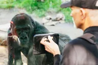 San Diego Zoo Admission Ticket thumbnail 5