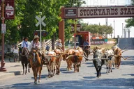 Fort Worth Stockyards Saloon Crawl thumbnail 3
