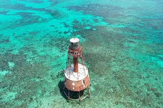 Key Largo Snorkeling Tour at Carysfort Lighthouse