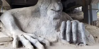 Seattle City Highlights Tour