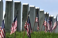 Washington DC Highlights and Arlington Cemetery Tour thumbnail 5