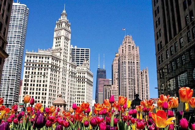 Chicago Private City Tour with Hotel Pickup - Image 2