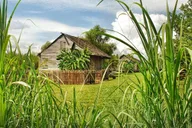 New Orleans Whitney Plantation Tour with Transportation thumbnail 5