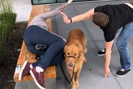 Anaheim Scavenger Hunt by Wacky Walks thumbnail 6