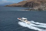Ma'alaea Humpback Whale Watching Cruise 2 hr thumbnail 5
