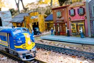 Dallas Discovery Gardens Admission thumbnail 6