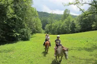 Cullowhee Horseback Ride through Flame Azalea and Fern Forest 75 min thumbnail 2