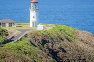 Kauai Waimea Canyon and Koke'e State Park Tour thumbnail 3