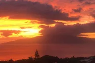 West Maui Mango Farm Tour at Sunset 2 hr thumbnail 1