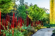 Seattle Chihuly Garden and Glass Tour thumbnail 4