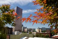 Portland Aerial Tram and Rooftop Tour thumbnail 3