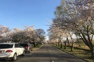 New York to Washington D.C. Day Trip thumbnail 6