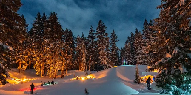 Bend Snowshoeing Tour and Bonfire - Image 1