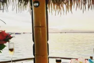 Miami Tiki Bar Cruise 1.5 hr thumbnail 3