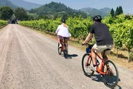 Healdsburg Wine Country Bike and Tasting Tour thumbnail 1