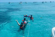 Islamorada Snorkel and Sandbar Tour thumbnail 2