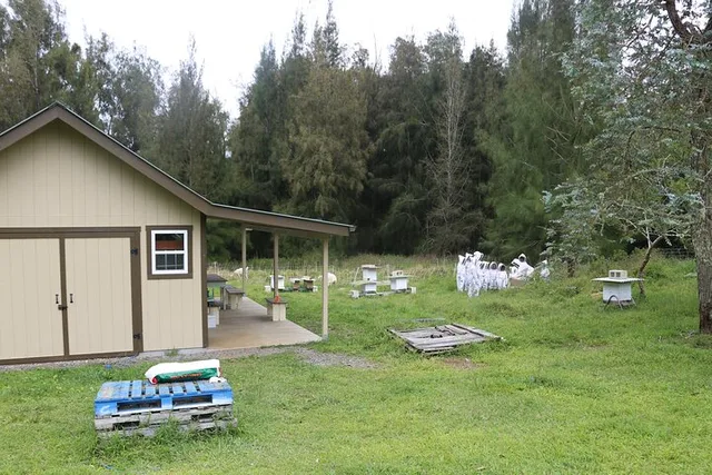 Honokaa Beekeeping Classroom Tour 2 hr - Image 3