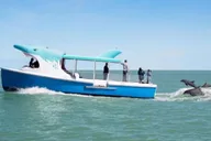 Destin Dolphin Watching and Sunset Cruise thumbnail 3