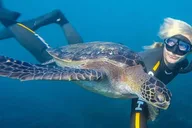 San Diego Snorkeling Tour with Marine Biologist thumbnail 1