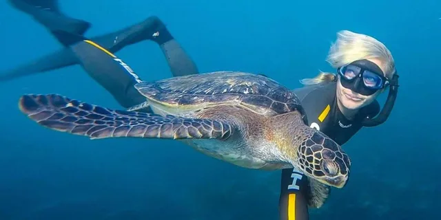 San Diego Snorkeling Tour with Marine Biologist - Image 1