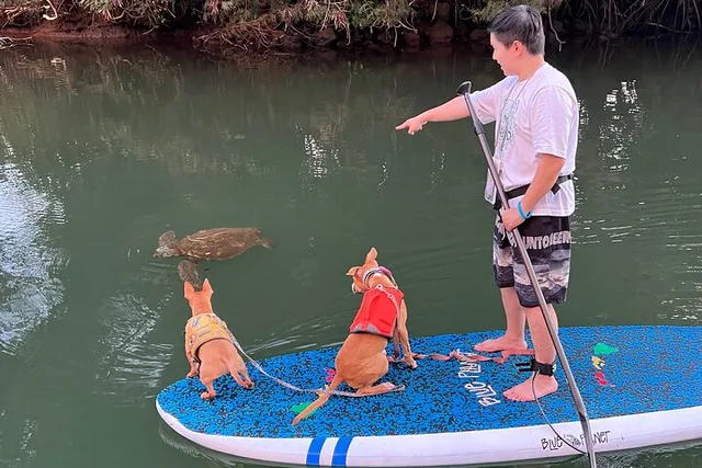 Haleiwa Paddle Board with Rescue Dogs 90 min - Image 6