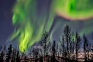 Fairbanks Northern Lights Private Tour 5 hr thumbnail 5