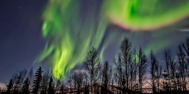 Fairbanks Northern Lights Private Tour 5 hr - Image 5