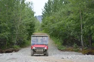 Healy Treasure Hunt Excursion with Backcountry Dining thumbnail 3