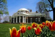 Charlottesville Historic Tour thumbnail 5