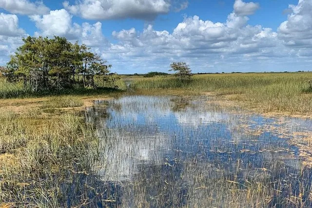 Everglades Private Tour - Image 4