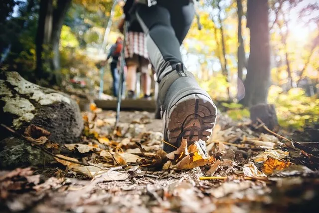 Pinecrest Lake Hiking Tour - Image 3