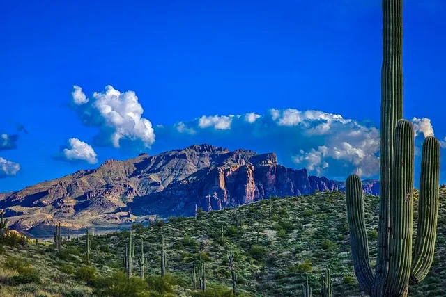 Phoenix Sonoran Desert Offroad Adventure at Sunset - Image 3