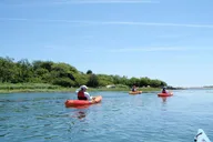 Fort Myers Beach SUP and Kayak Tour 1 Hour thumbnail 2