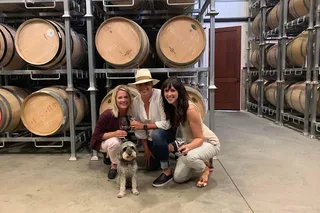 Napa Valley Wine Tour and Transportation