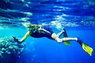 Honolulu Whale Watching Sunset Cruise thumbnail 3