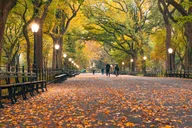 New York City Central Park Movie Walking Tour thumbnail 2