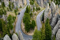 Rapid City Custer State Park and Needles Highway Tour thumbnail 1