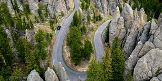 Rapid City Custer State Park and Needles Highway Tour
